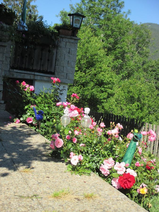 Pension Stammerhof Schladming Exterior photo